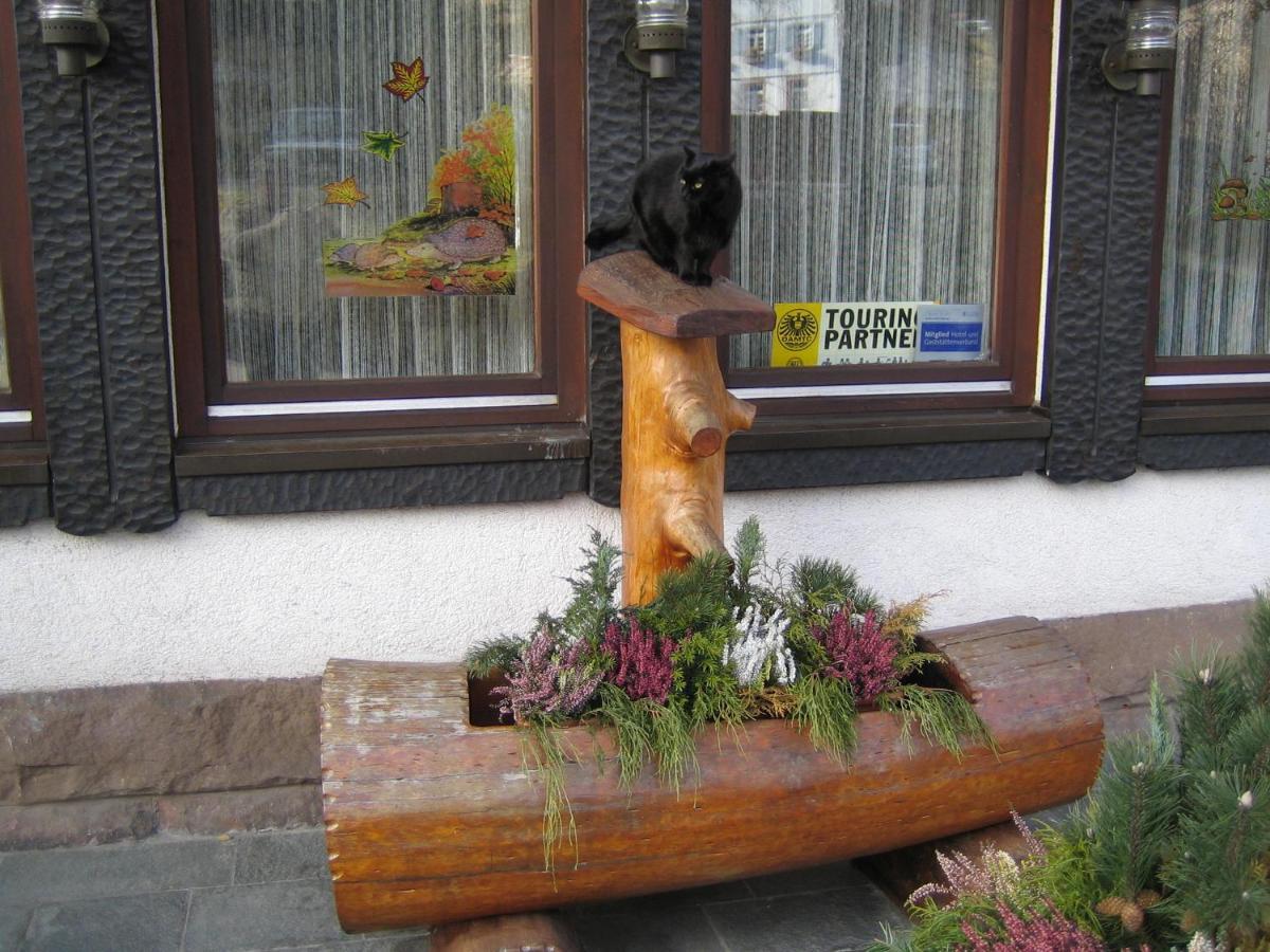 Hotel Rappen Baiersbronn Zewnętrze zdjęcie